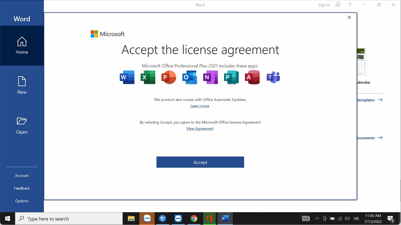 Office 2021 Professional Plus